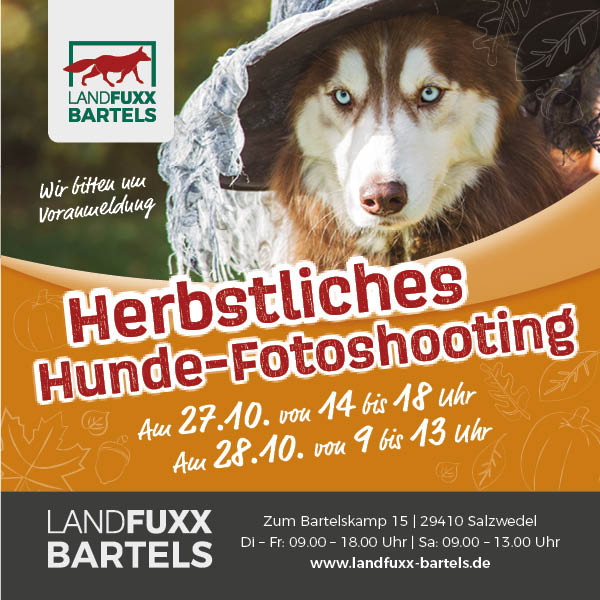 hundefutter defu defu